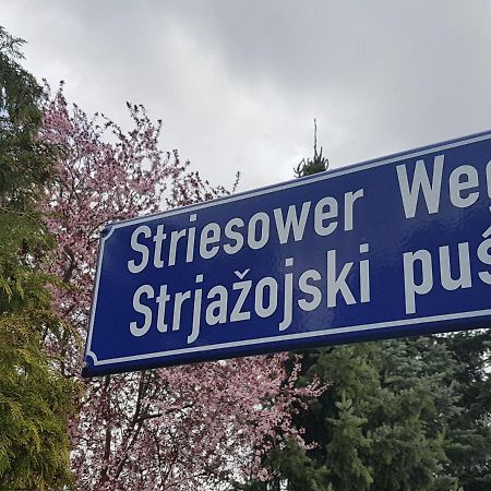 2 Raum Gartenwohnung Am Spreewaldradweg In Cottbus Luaran gambar